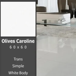 سرامیک 60 در 60 کارولین زیتونی