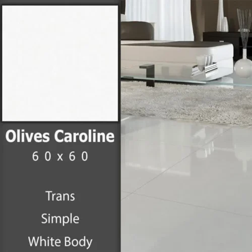 سرامیک 60 در 60 کارولین زیتونی