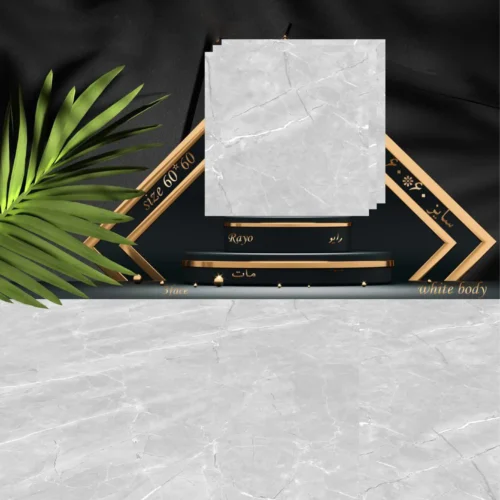 سرامیک 60 در 60 رایو