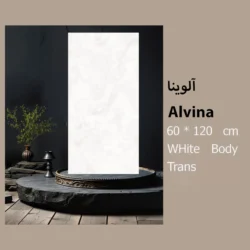 کاشی آلوینا سایز 60 در 120