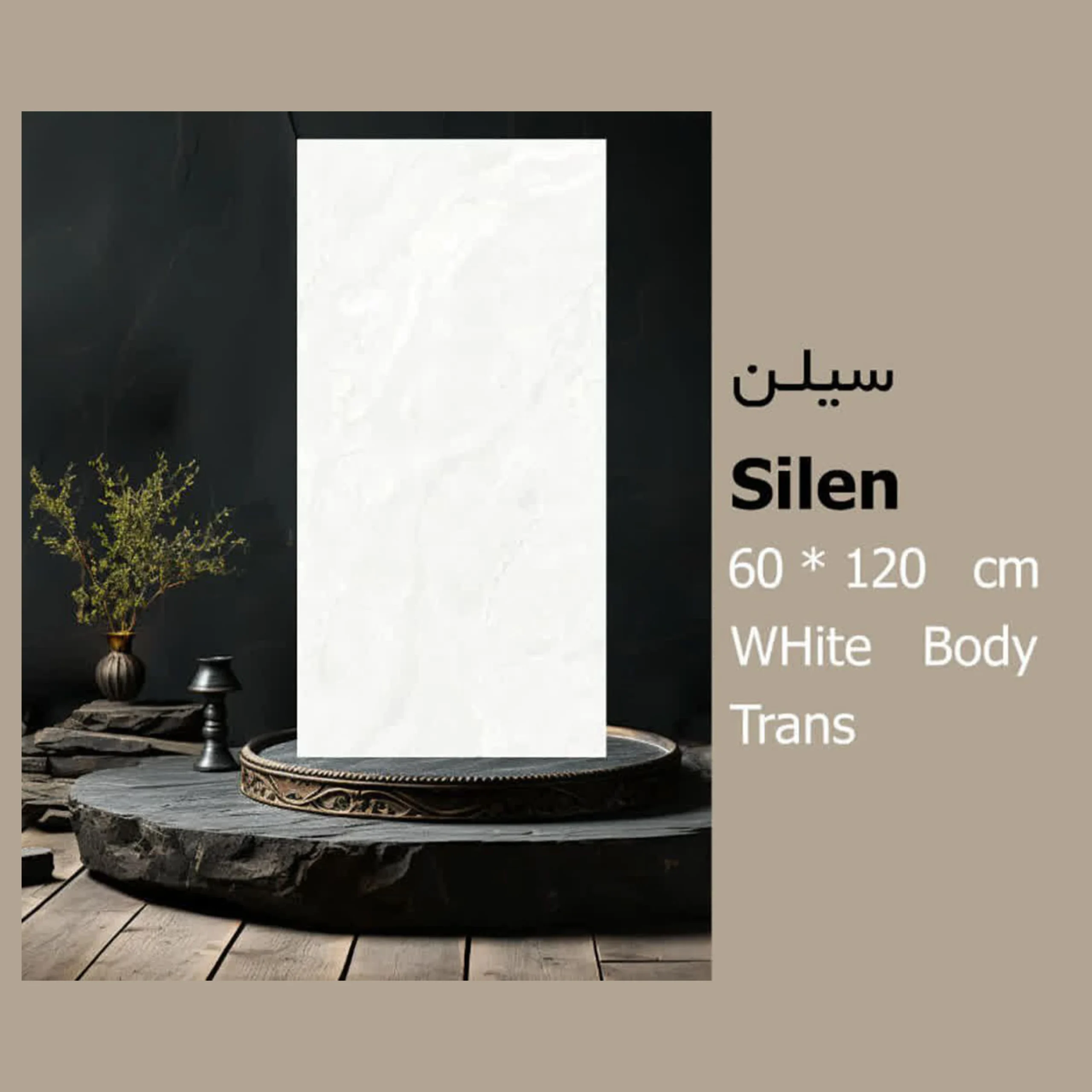 کاشی 60 در 120 سیلن