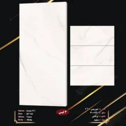 کاشی 60 در 120 دوریس FT1