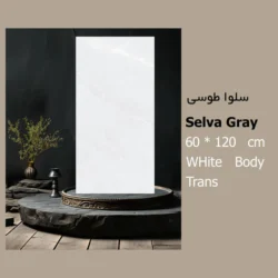 کاشی سایز 60 در 120 مدل سلوا طوسی