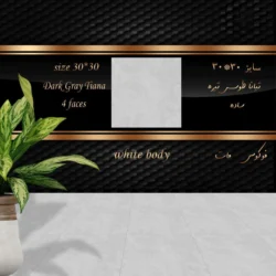 سرامیک 30 در 30 تیانا طوسی تیره