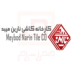 نارین میبد